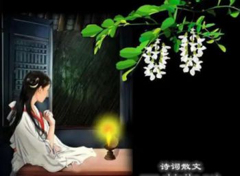 临江仙.天涯孤旅只一人